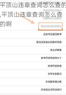 平顶山违章查询怎么查的,平顶山违章查询怎么查的啊
