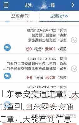 山东泰安交通违章几天能查到,山东泰安交通违章几天能查到信息