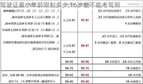 驾驶证最小年龄限制多少,16岁能不能考驾照