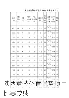 陕西竞技体育优势项目比赛成绩