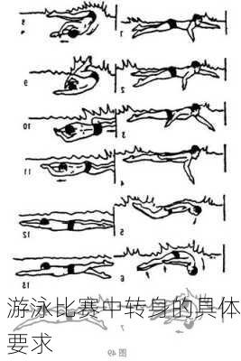 游泳比赛中转身的具体要求