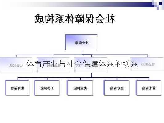 体育产业与社会保障体系的联系