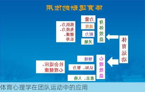 体育心理学在团队运动中的应用