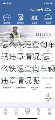 怎么快速查询车辆违章情况,怎么快速查询车辆违章情况呢