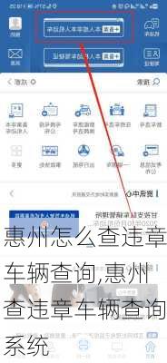 惠州怎么查违章车辆查询,惠州查违章车辆查询系统