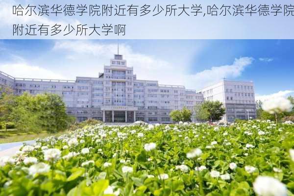 哈尔滨华德学院附近有多少所大学,哈尔滨华德学院附近有多少所大学啊