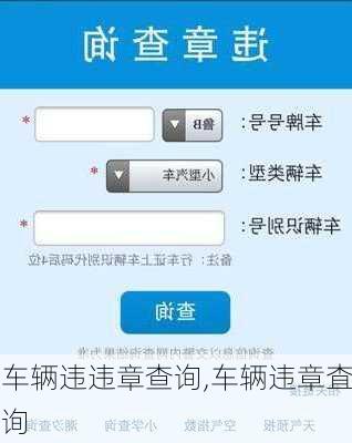 车辆违违章查询,车辆违章査询