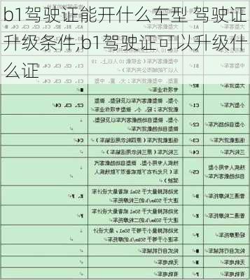 b1驾驶证能开什么车型 驾驶证升级条件,b1驾驶证可以升级什么证