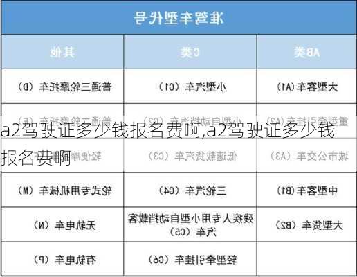 a2驾驶证多少钱报名费啊,a2驾驶证多少钱报名费啊