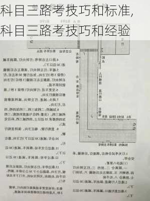 科目三路考技巧和标准,科目三路考技巧和经验