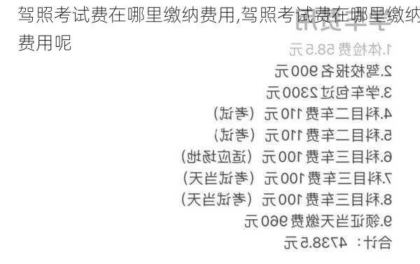 驾照考试费在哪里缴纳费用,驾照考试费在哪里缴纳费用呢