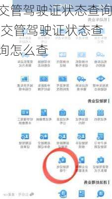 交管驾驶证状态查询,交管驾驶证状态查询怎么查