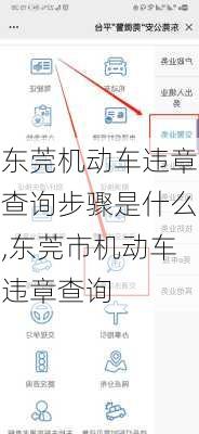 东莞机动车违章查询步骤是什么,东莞市机动车违章查询