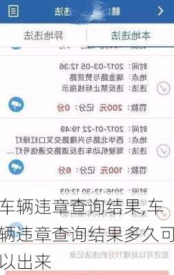 车辆违章查询结果,车辆违章查询结果多久可以出来