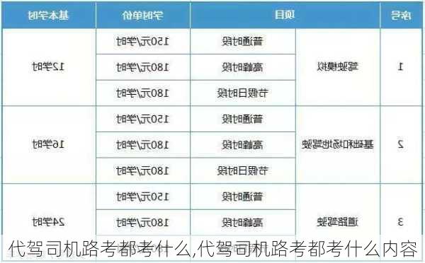 代驾司机路考都考什么,代驾司机路考都考什么内容