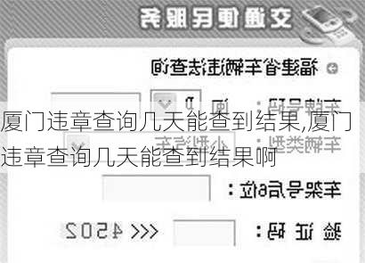 厦门违章查询几天能查到结果,厦门违章查询几天能查到结果啊