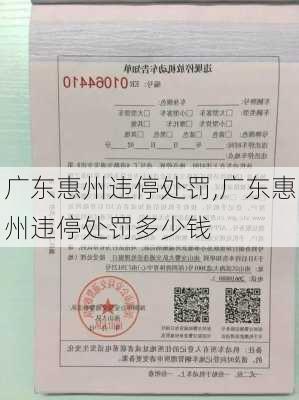 广东惠州违停处罚,广东惠州违停处罚多少钱