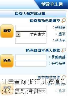 违章查询 浙江,违章查询浙江最新消息
