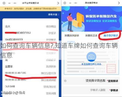 如何查询车辆信息?,知道车牌如何查询车辆信息