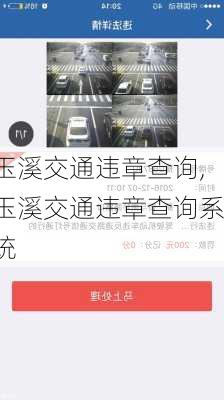玉溪交通违章查询,玉溪交通违章查询系统