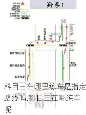 科目三在哪里练车是指定路线吗,科目三在哪练车呢