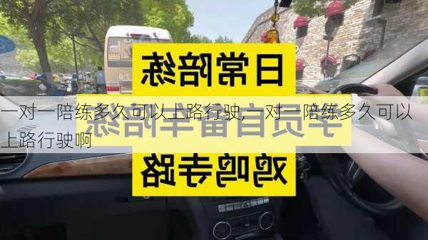 一对一陪练多久可以上路行驶,一对一陪练多久可以上路行驶啊