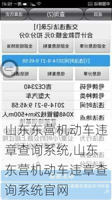 山东东营机动车违章查询系统,山东东营机动车违章查询系统官网