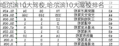 哈尔滨10大驾校,哈尔滨10大驾校排名