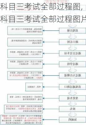 科目三考试全部过程图,科目三考试全部过程图片