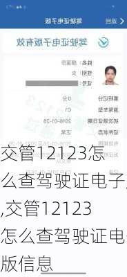 交管12123怎么查驾驶证电子版,交管12123怎么查驾驶证电子版信息