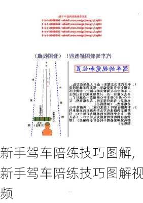 新手驾车陪练技巧图解,新手驾车陪练技巧图解视频