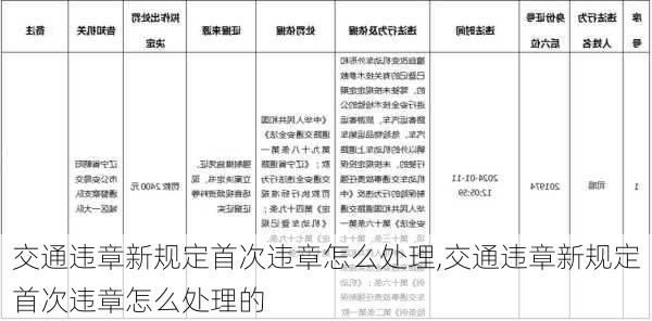 交通违章新规定首次违章怎么处理,交通违章新规定首次违章怎么处理的