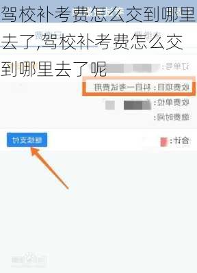 驾校补考费怎么交到哪里去了,驾校补考费怎么交到哪里去了呢