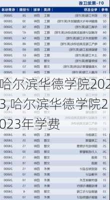 哈尔滨华德学院2023,哈尔滨华德学院2023年学费