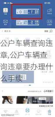 公户车辆查询违章,公户车辆查询违章要办理什么手续