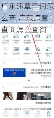 广东违章查询怎么查,广东违章查询怎么查询