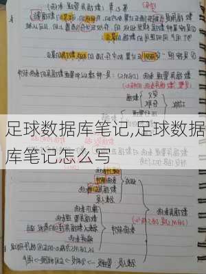 足球数据库笔记,足球数据库笔记怎么写