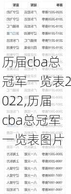 历届cba总冠军一览表2022,历届cba总冠军一览表图片