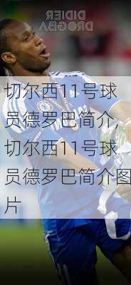 切尔西11号球员德罗巴简介,切尔西11号球员德罗巴简介图片