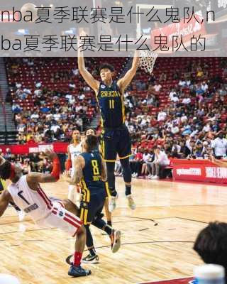 nba夏季联赛是什么鬼队,nba夏季联赛是什么鬼队的